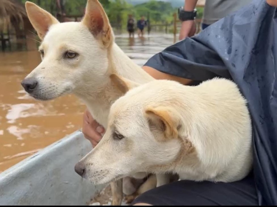 ติ๊นา - คริสติน่า อากีล่าร์