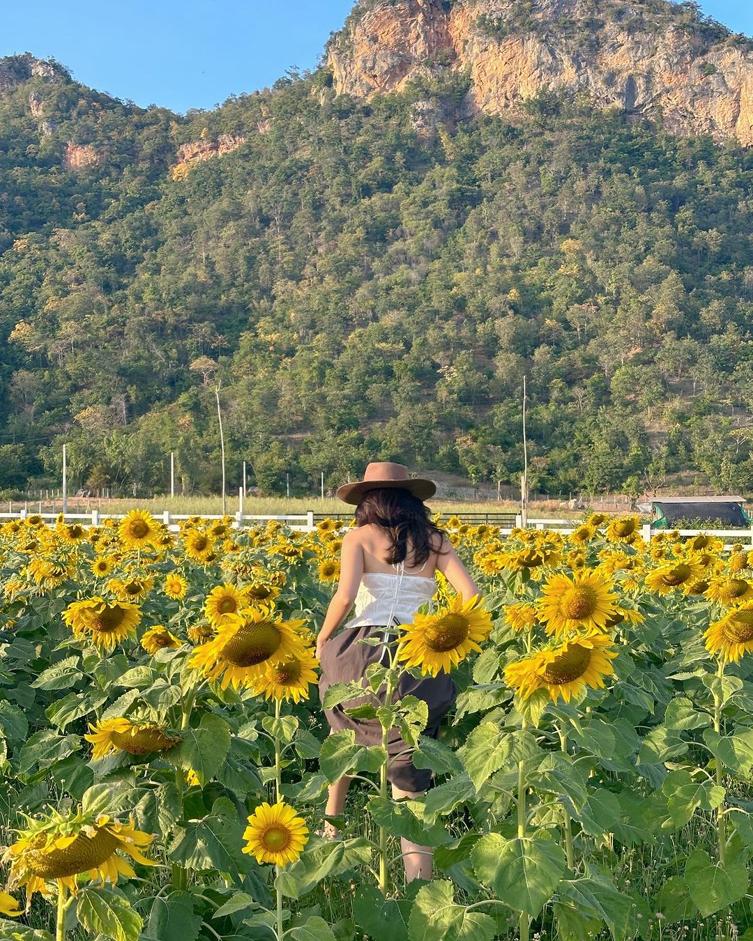 โบว์ - เมลดา สุศรี