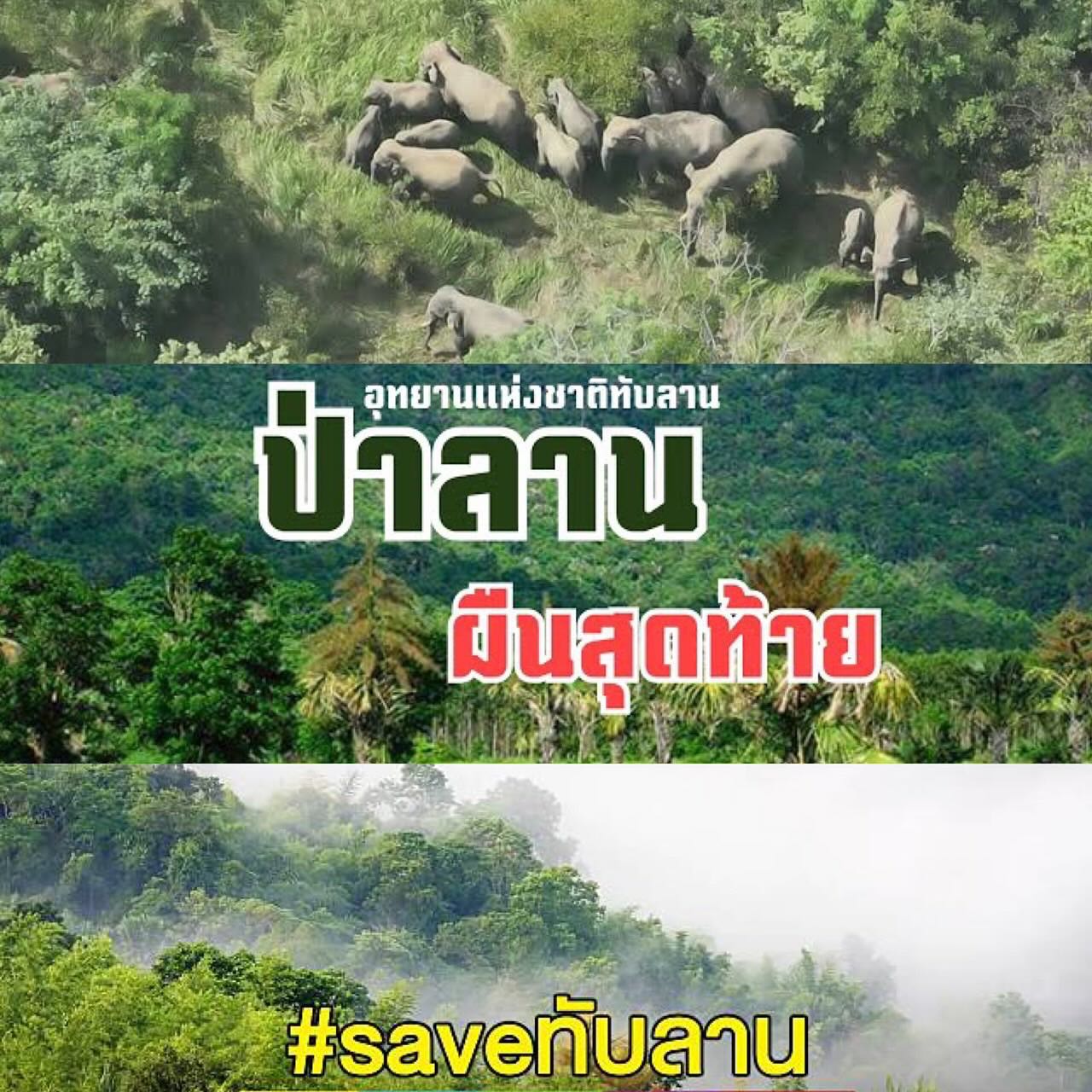 อ้อม - พิยดา จุฑารัตนกุล