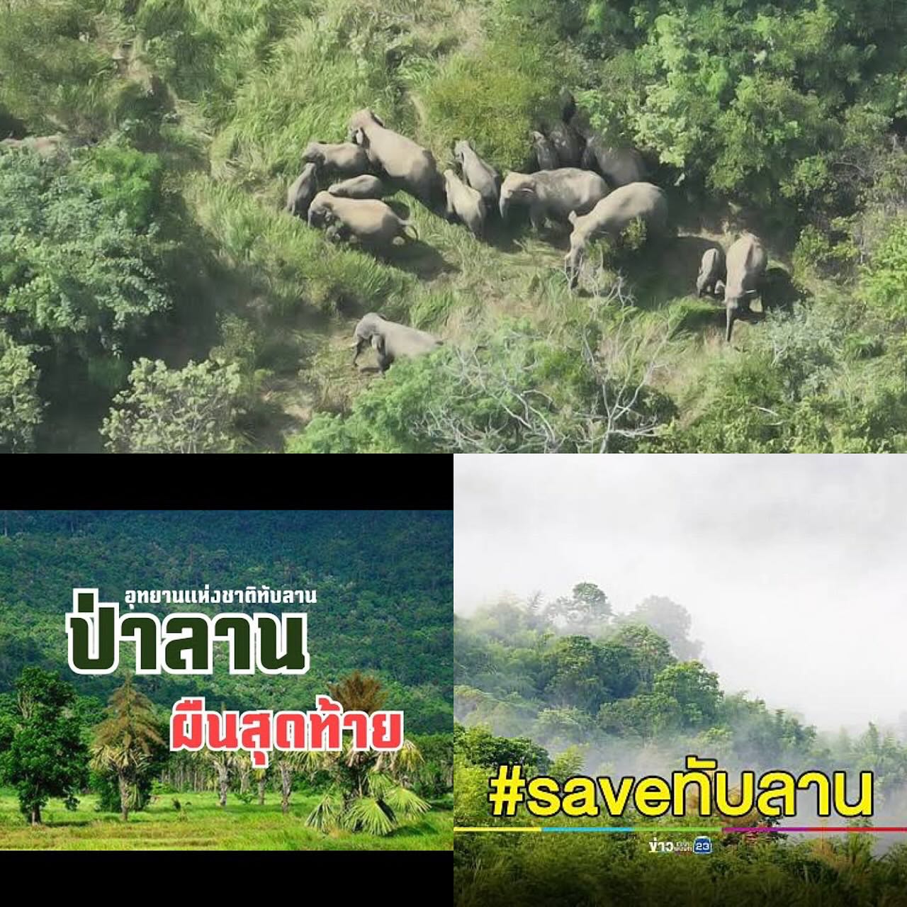 อ้อม - พิยดา จุฑารัตนกุล