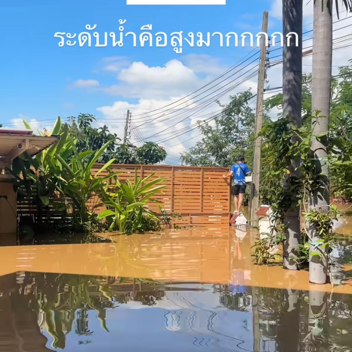 เชน - ณัฐวัฒน์ เปล่งศิริวัธน์