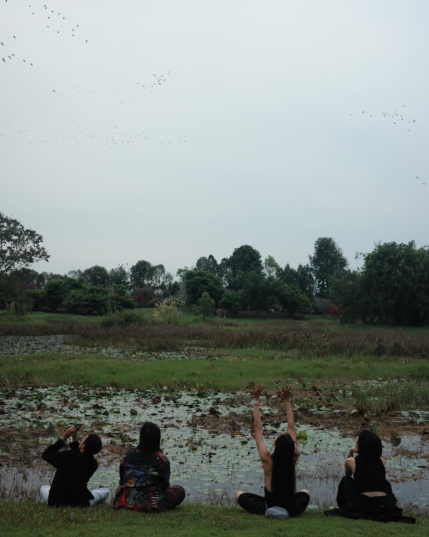 หลิน - มชณต สุวรรณมาศ