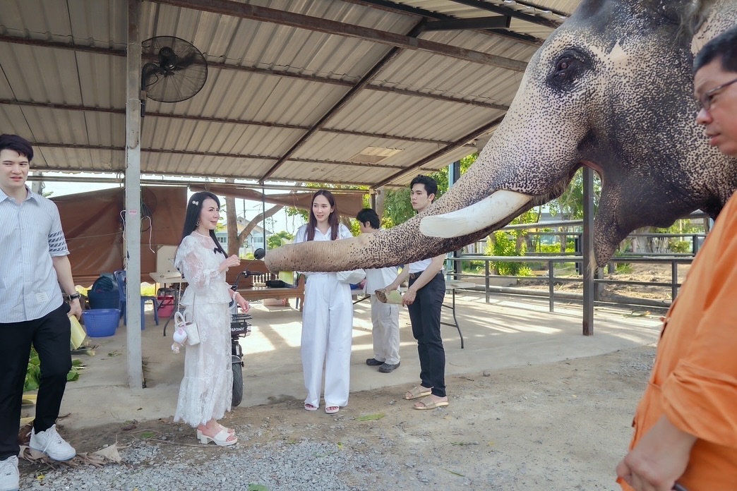 อั้ม - พัชราภา ไชยเชื้อ