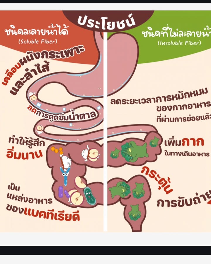 ตี๋ - วิวิศน์ บวรกีรติขจร