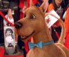 Scooby-Doo 2: Monsters Unleashed picture