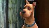 Scooby-Doo 2: Monsters Unleashed picture