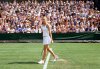 Wimbledon picture