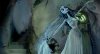 Corpse Bride picture