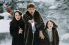 The Chronicles of Narnia: The Lion, the Witch and the Wardrobe picture