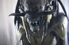 Aliens vs. Predator: Requiem picture