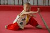 Kung Fu Kid picture