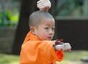 Kung Fu Kid picture