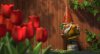 Gnomeo & Juliet picture