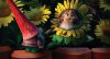 Gnomeo & Juliet picture