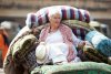 The Best Exotic Marigold Hotel picture