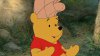 Winnie the Pooh picture