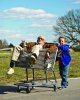 Jackass Presents: Bad Grandpa picture