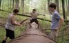 The Kings of Summer picture