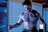 The Wolverine picture