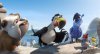 Rio 2 picture