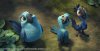 Rio 2 picture