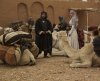 Queen of the Desert picture