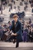 Fantastic Beasts and Where to Find Them picture