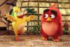 The Angry Birds Movie picture