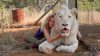 Mia and the White Lion picture