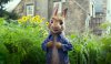 Peter Rabbit picture