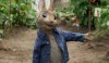 Peter Rabbit picture