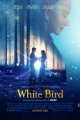 White Bird