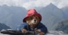 Paddington in Peru picture