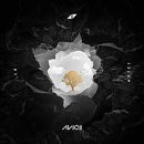 อัลบัม AVICI (01)