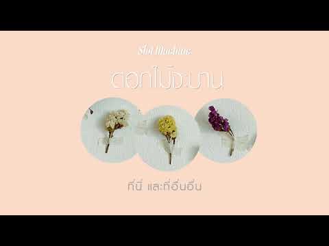 เนื้อเพลง ดอกไม้จะบาน | สล็อต แมชชีน | เพลงไทย