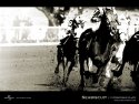 Seabiscuit wallpaper