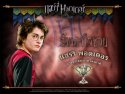 Harry Potter and the Goblet of Fire wallpaper