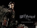 Harry Potter and the Goblet of Fire wallpaper