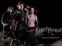 Harry Potter and the Goblet of Fire wallpaper