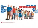 Cheaper by the Dozen 2 wallpaper