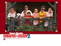 Cheaper by the Dozen 2 wallpaper