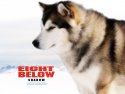 Eight Below wallpaper