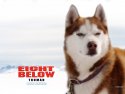 Eight Below wallpaper