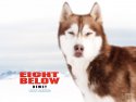 Eight Below wallpaper