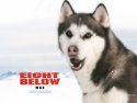 Eight Below wallpaper