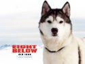 Eight Below wallpaper