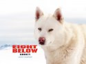 Eight Below wallpaper