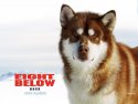 Eight Below wallpaper