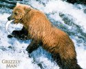 Grizzly Man wallpaper