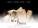 The Black Dahlia wallpaper